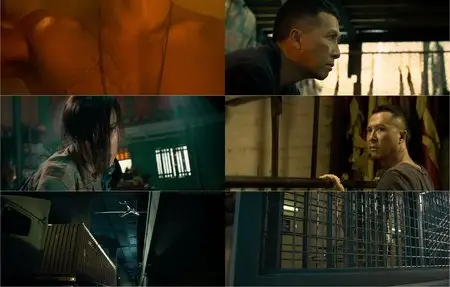 Kung Fu Jungle (2014)