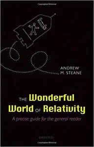 The Wonderful World of Relativity: A precise guide for the general reader