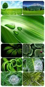 Wallpaper pack - Green 2