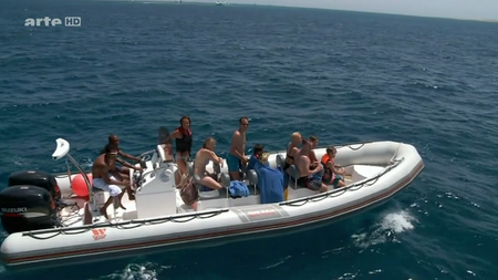 (Arté) Mes Amis Les Grands Dauphins (2013)