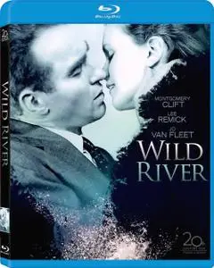 Wild River (1960) [w/Commentary]