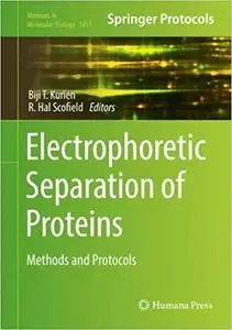 Electrophoretic Separation of Proteins: Methods and Protocols