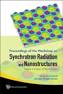 Synchrotron Radiation and Nanostructures: Papers in Honour of Paolo Perfetti, Proceedings of the Workshop