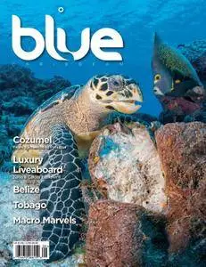 Blue Magazine - September 01, 2013