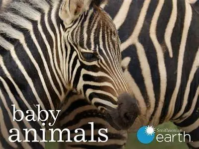 Smithsonian Earth - Baby Animals: Series 1 (2016)