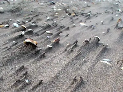 sand photo