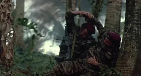 Enter the Ninja (1981)