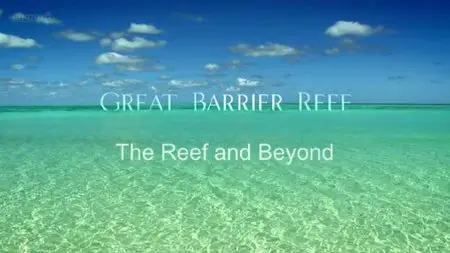 Great Barrier Reef S01E03 "Reef And Beyond"