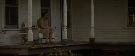 The Glass Castle (2017)