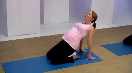 Lindsay Brin's Pregnancy DVD: Yoga, Cardio & Toning - 2nd Trimester (2007)