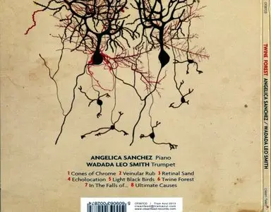 Angelica Sanchez & Wadada Leo Smith - Twine Forest (2013) {Clean Feed}