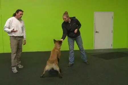 The Power of Training Dogs with Food