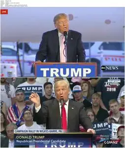 One Nation Under Trump (2016)