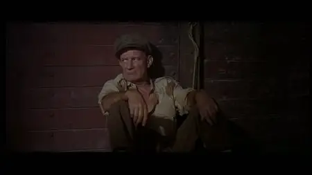 Von Ryan's Express (1965)