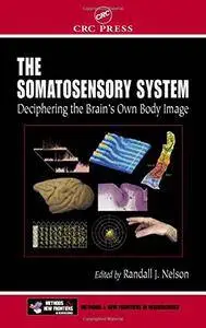 The Somatosensory System: Deciphering the Brain's Own Body Image (Frontiers in Neuroscience)(Repost)