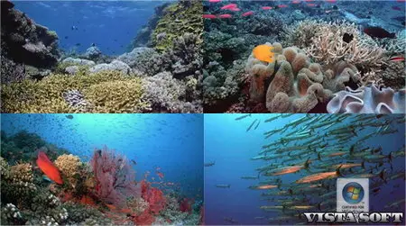 1 DreamScene Aqua World for Windows Vista