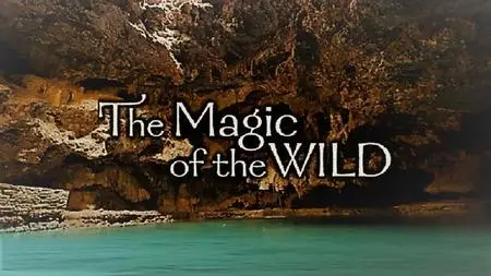 ZDF - The Magic of the Wild: Series 1 (2013)
