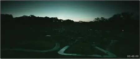 Blood Ties (2009)