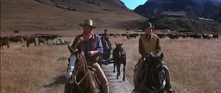 Chisum (1970)