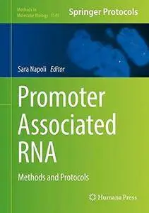 Promoter Associated RNA: Methods and Protocols (Methods in Molecular Biology)