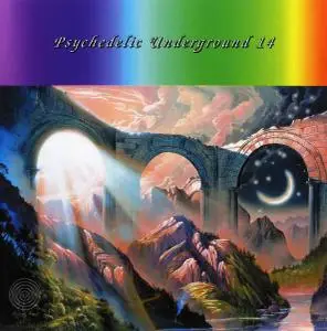 V.A. - Psychedelic Underground 11-17 (2005-2013)