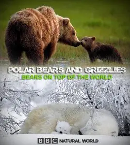 BBC Natural World: Polar Bears and Grizzlies - Bears on top of the World (2009)