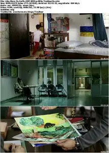 Like Stars On Earth (2007)