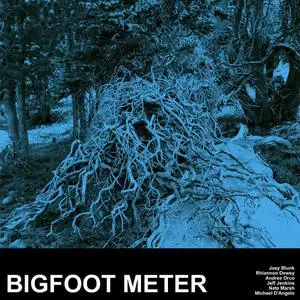 Bigfoot Meter - Bigfoot Meter (2022) [Official Digital Download 24/88]