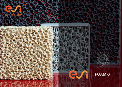 ESI FOAM-X 2020.0