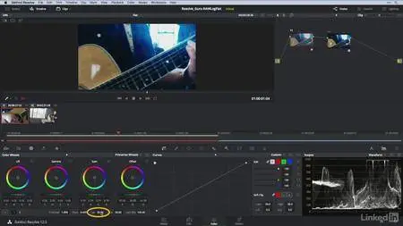 Lynda - DaVinci Resolve Guru: Color Correcting Log, Raw, and Flat Footage (2017)