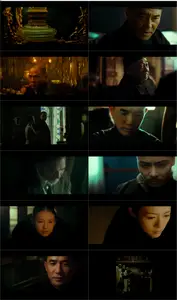 The Grandmaster (2013)