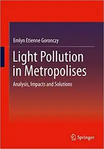 Light Pollution in Metropolises: Analysis, Impacts and Solutions