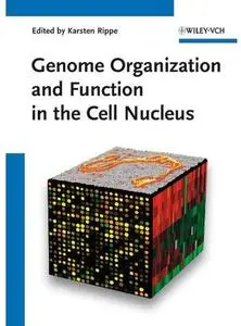 Genome Organization And Function In The Cell Nucleus