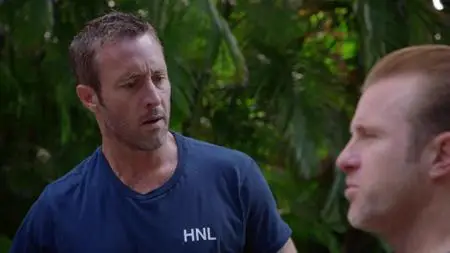 Hawaii Five-0 S08E06