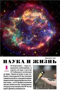 Наука и жизнь №1 (январь) 2009