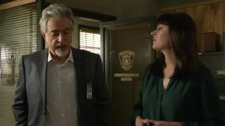 Criminal Minds S15E08