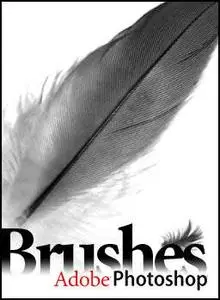 Brushes for Adobe Photoshop - "Feathers"