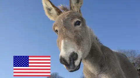 American English Pronunciation | Pronounce Over 20.000 Words