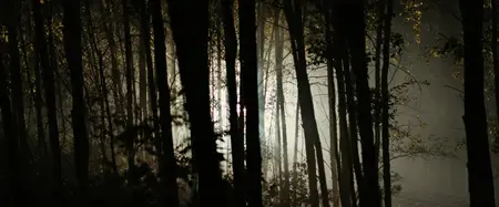 The Assassination of Jesse James by the Coward Robert Ford (2007)