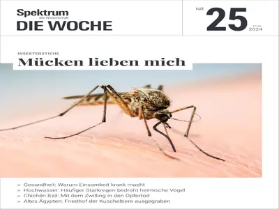 Spektrum Die Woche - 20 Juni 2024