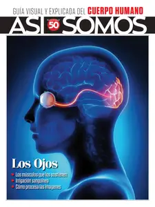 Así Somos El cuerpo humano - 15 Mayo 2025