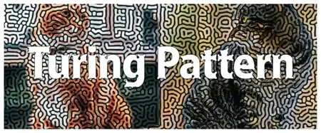 Aescripts - Turing Pattern v1.1 Win