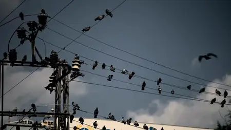 PBS Frontline - Syria's Detainee Files (2025)