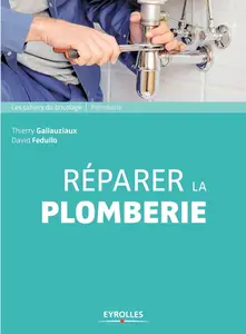Thierry Gallauziaux, David Fedullo, "Réparer la plomberie"