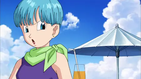 Dragon Ball Super (2015 S01E06 Dont Anger the Destroyer! A Heart Pounding Birthday Party ZR