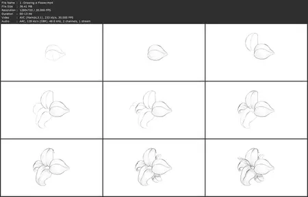 How to Draw with Organic Forms