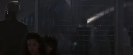 Point of No Return (1993)