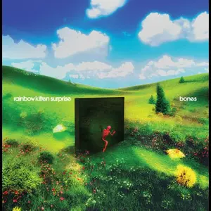 Rainbow Kitten Surprise - bones (2025) [Official Digital Download 24/48]