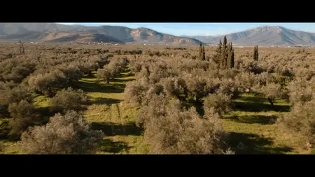 Under the Stars (2025)