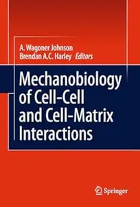 Mechanobiology of Cell-Cell and Cell-Matrix Interactions